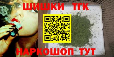молекула духа Кингисепп