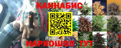 бошки Кинель