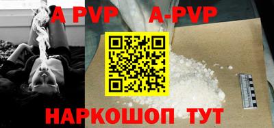 молекула духа Кингисепп