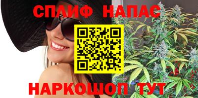 молекула духа Кингисепп