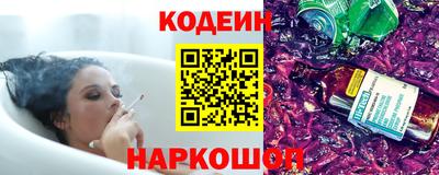 молекула духа Кингисепп