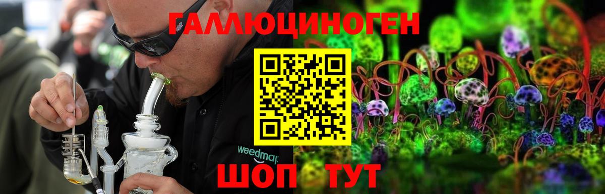 Псилоцибиновые грибы MAGIC MUSHROOMS  Вход с VPN  Котлас 